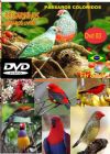 DVD 03 - P�ssaros Livres - Sons P�ssaros Brasil